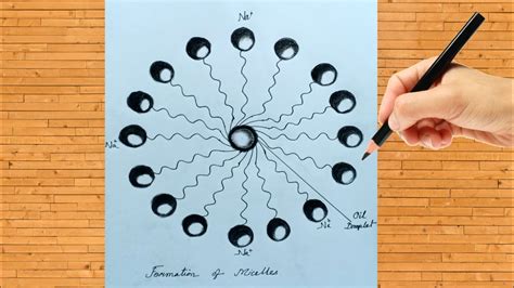 How To Draw Formation Of Micelles Diagram For Beginners || Formation Of Micelles Class 10, 12 ...