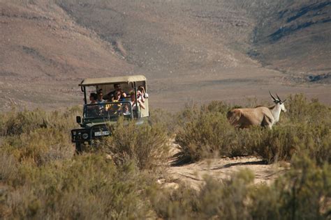 Big 5 Safari – Full Day Tour – African Xplora