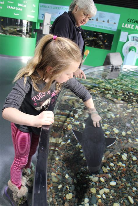 Great Lakes Aquarium - Lake Superior Circle Tour