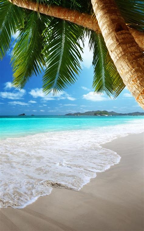 🔥 [50+] Free Tropical Beach Live Wallpapers | WallpaperSafari