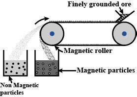 Explain magnetic separation process of ores with the help of a neat ...