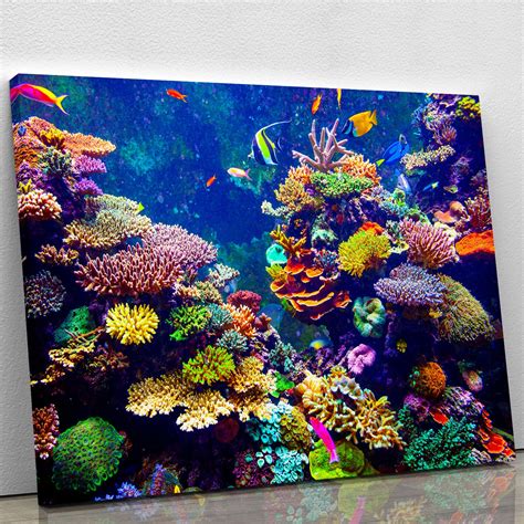 Coral Reef and Tropical Fish Canvas Print or Poster | Canvas Art Rocks