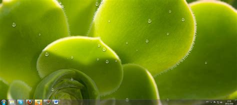 🔥 Free download Ao escolher determinadas imagens como fotos de folhagens ou plantas [1680x751 ...