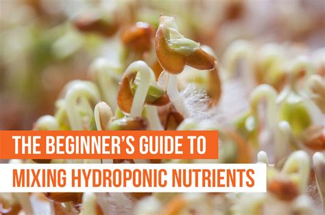 Hydroponic Nutrient Solution Recipe Pdf | Deporecipe.co