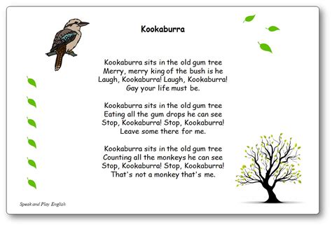 Kookaburra Sits in the Old Gum Tree Song - Lyrics in English and French ...