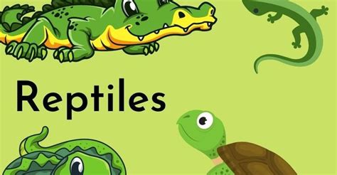 Reptiles and Their Habitats