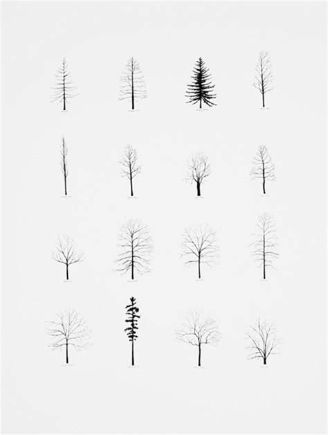 how to draw winter trees step by step - gretavanfleetaragonballroom