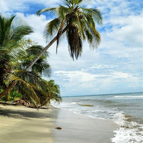 📍: Cahuita National Park IG Photo: @travel_jul