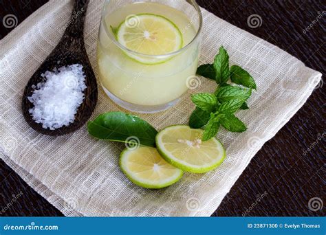 Mojito and ingredients stock photo. Image of refreshing - 23871300