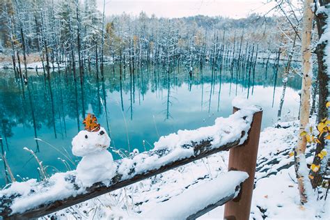 Winter Family Holiday In Central Hokkaido | Hokkaido Treasure ...