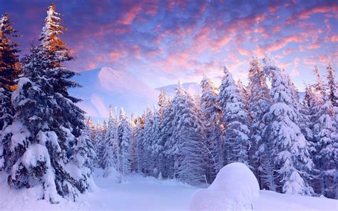 snow, Landscape, Trees Wallpapers HD / Desktop and Mobile Backgrounds