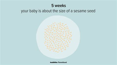 5 Weeks Pregnant: Symptoms, Tips, and More