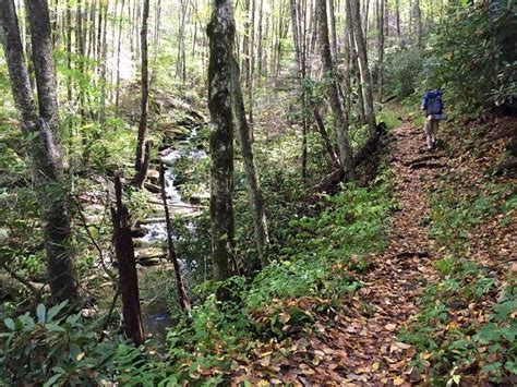 Hiking along Big Creek Trail.