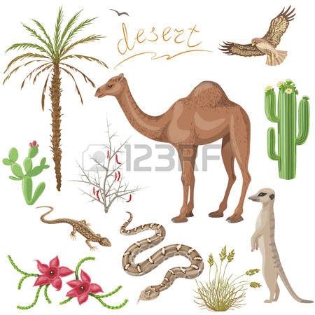 Desert plants clipart 20 free Cliparts | Download images on Clipground 2024