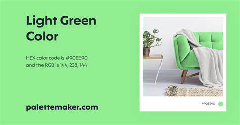 Light Green Color - HEX #90EE90 Meaning and Live Previews - PaletteMaker