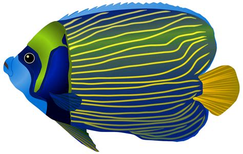 Tropical Fish Png Clip Art Library - Riset
