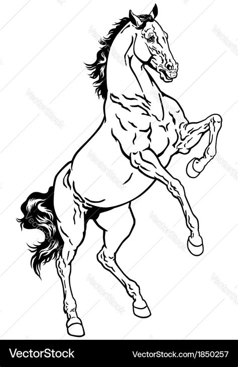 Horse outline Royalty Free Vector Image - VectorStock