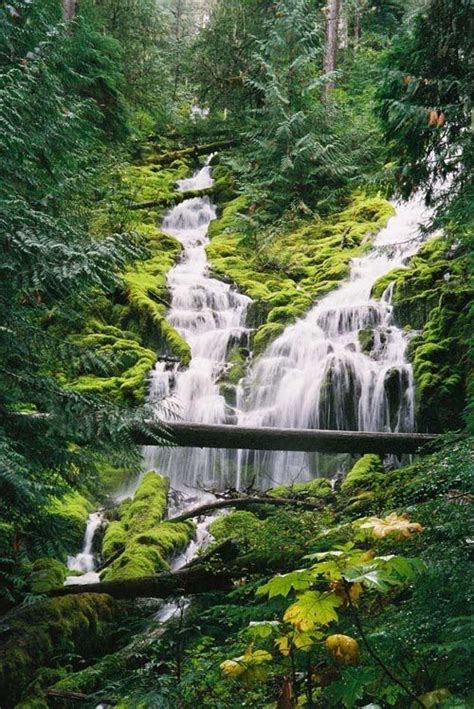 Olo’upena Falls, Molokai, Hawaii | Waterfall, Beautiful waterfalls, Hawaii travel