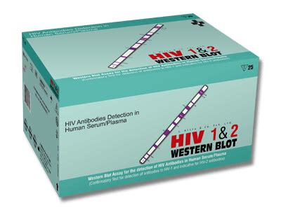 HIV Western Blot Test Kit - 100% Sensitivity | J Mitra & Co