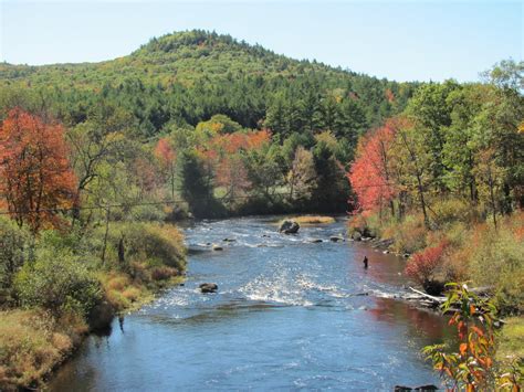 Welcome to the Millers River Fly Fishing Forum : 2021