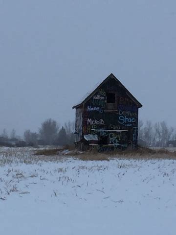 The view from here: Near Linden, Alberta February 4, 2017