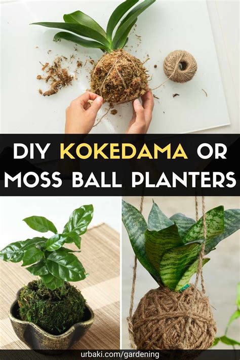 DIY Kokedama or Moss Ball Planters