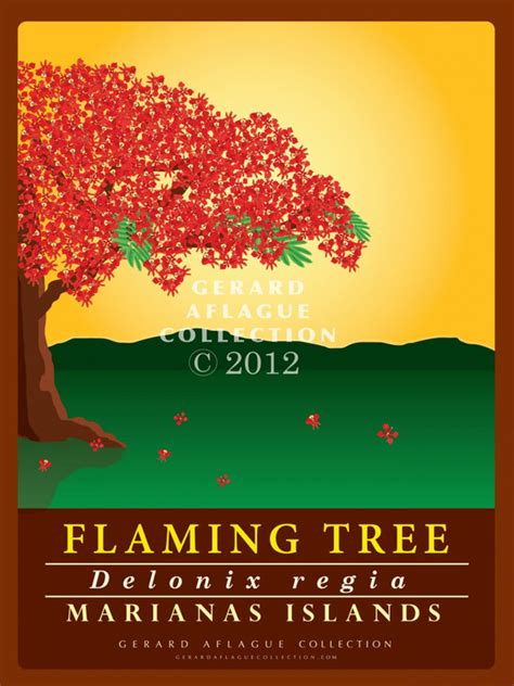 Guam Gifts | Guam Art - Flame Tree Illustration | Gerard Aflague Collection