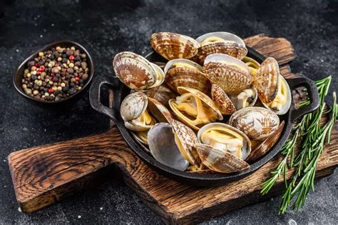 Clams: Why this seafood is a powerhouse of nutrients - Nutrition: Health Benefits and Facts ...