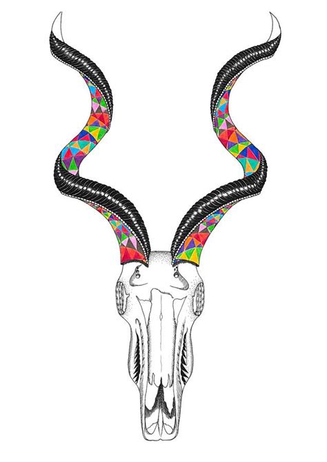 kudu skull african illustration and pattern print by crafty creature ...