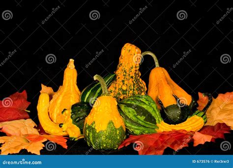 Gourds & Leaves Centerpiece Stock Photo - Image of americana, decorate: 673576