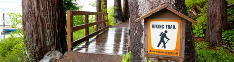 Hiking at Lake Quinault Lodge | Olympic National Park & Forest WA