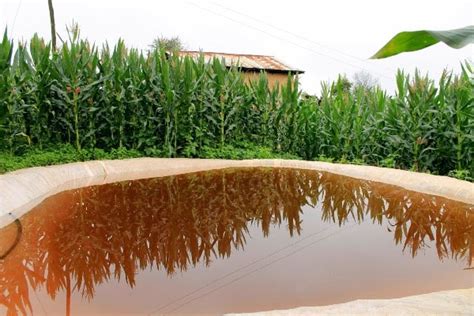 Rainwater Harvesting; advantages, types and methods