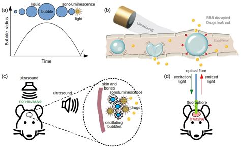 Applied Sciences | Free Full-Text | Gas Bubble Photonics: Manipulating ...