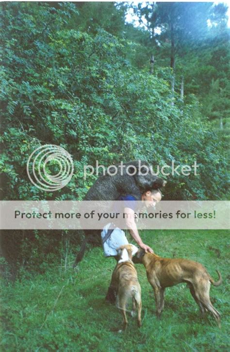 Pig hunting photos