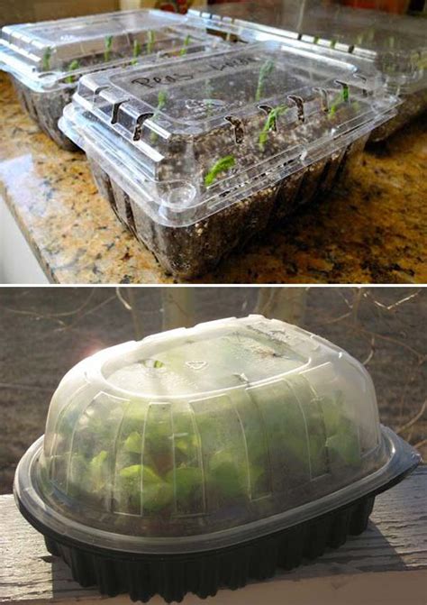 17 Simple Budget-Friendly Plans to Build a Greenhouse - Amazing DIY, Interior & Home Design