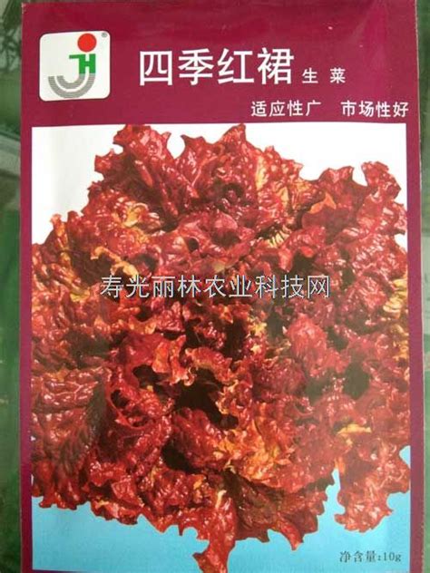 紫生菜种子,四季红裙生菜种子-生菜种子-寿光丽林农业科技网
