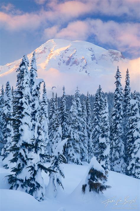 Winter in Paradise : Mt. Rainier NP, WA : Art in Nature Photography