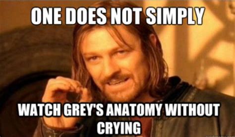 A Collection of the Best 'Grey's Anatomy' Memes in Honor of the Season 13 Finale | Thank you ...