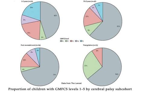 Birth Prevalence of Cerebral Palsy: A Population-Based Study ...