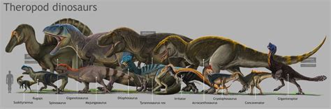 Theropod Dinosaurs by me :) wdyt guys?? : Dinosaurs | Walking with dinosaurs, Prehistoric ...