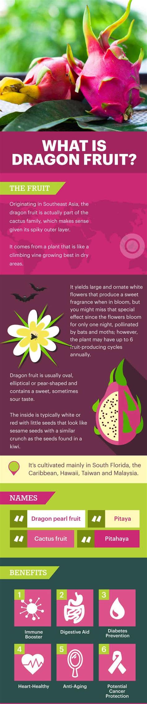 Dragon Fruit Benefits, Nutrition Facts and How to Eat - Dr. Axe