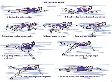 Swimming: The Sidestroke | Swimming strokes, Swimming tips, Swimming