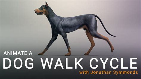 Animate a Dog Walk Cycle - YouTube