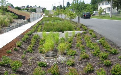 O que é um Bio-Swale? | Landscape design, Landscape drainage, Rain garden