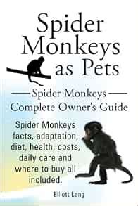 Spider Monkeys as Pets. Spider Monkeys Facts, Adaptation, Diet, Health ...