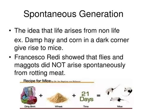 PPT - Spontaneous Generation PowerPoint Presentation, free download - ID:5792524