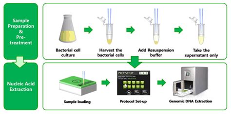 ExiPrep Plus Bacteria Genomic DNA Kit from Bioneer