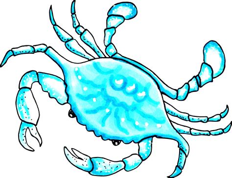 Sea crab aqua color. PNG illustration marine animals. 22540957 PNG