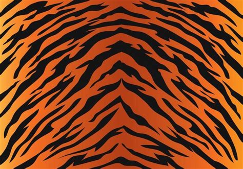 Tiger Stripe Pattern | Rayas de tigre, Tigre, Arte vectorial