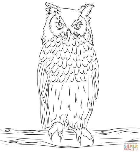 Horned Owl Coloring Page